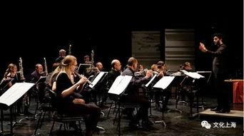 长笛成人乐团演奏视频,和谐旋律中的心灵共鸣