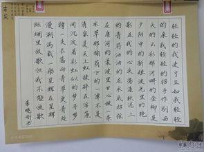 硬笔书法成人素材视频,跟随视频素材轻松掌握成人硬笔书法技巧