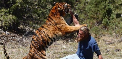 四虎成人午夜视频,一场成人世界的真实演绎