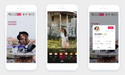 茄子视频app成人版污,揭秘污秽内容的秘密世界