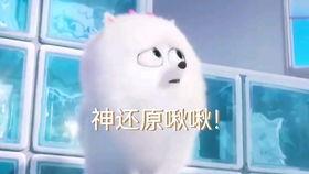 朵拉成人配音素材视频,重温童年经典，感受成长魅力