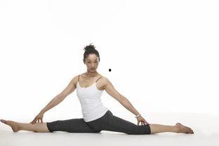 成人怎样锻炼劈叉视频大全,轻松解锁成人劈叉技巧